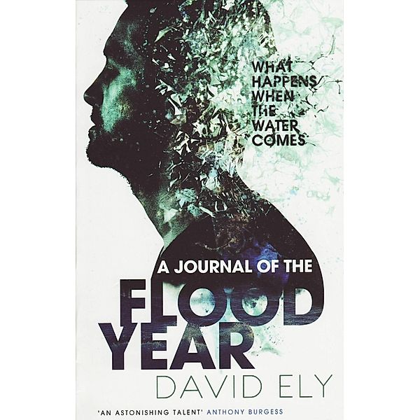 Journal Of The Flood Year / Granta Books, David Ely