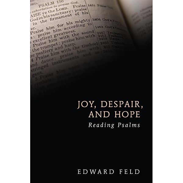 Joy, Despair, and Hope, Edward Feld