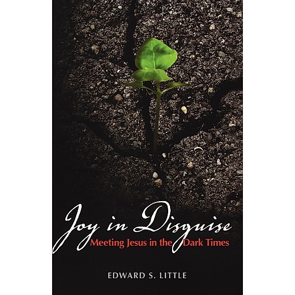 Joy in Disguise, Edward S. Little