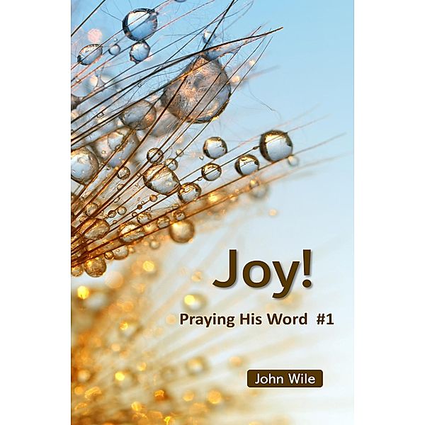 Joy!  Praying His Word / Praying His Word, John Wile