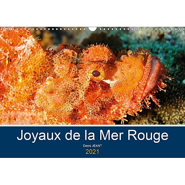Joyaux de la Mer Rouge (Calendrier mural 2021 DIN A3 horizontal), Denis JEANT