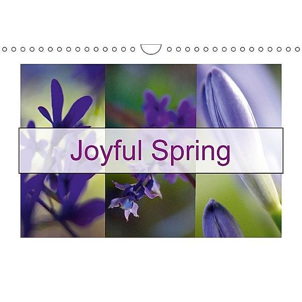 Joyful Spring (Wall Calendar 2017 DIN A4 Landscape), Solange Foix