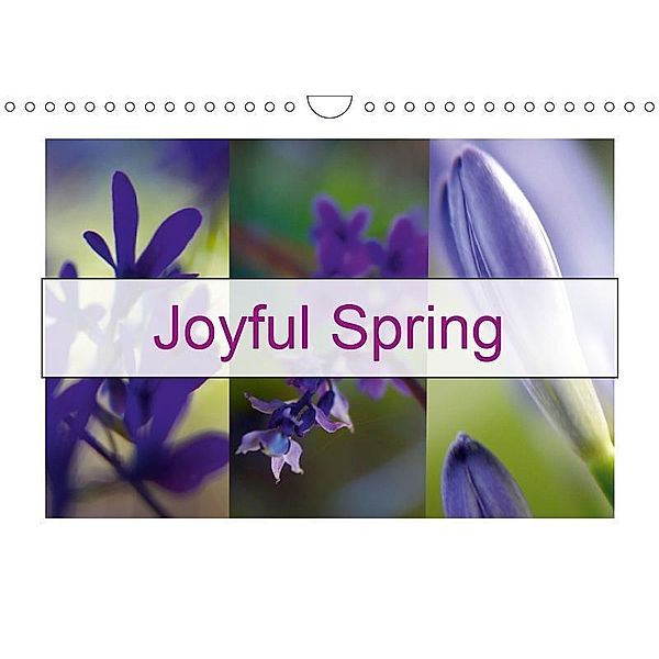 Joyful Spring (Wall Calendar 2019 DIN A4 Landscape), Solange Foix