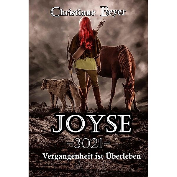 Joyse -3021- Vergangenheit ist Überleben / Joyse Bd.1, Christiane Beyer