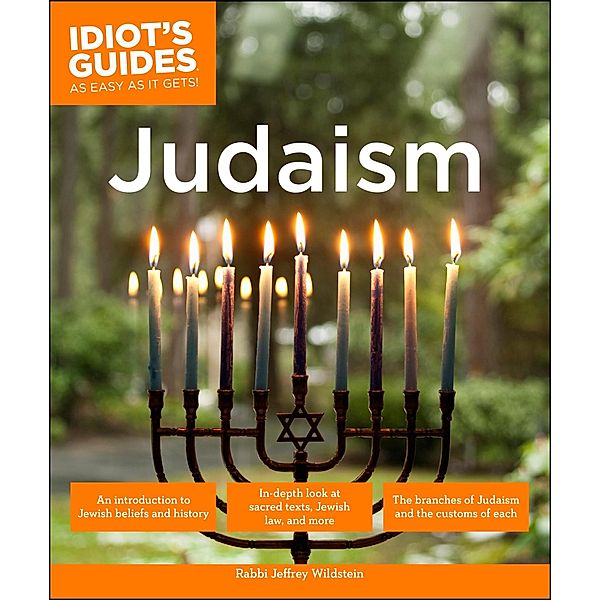 Judaism / Idiot's Guides, Jeffrey Wildstein