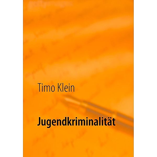 Jugendkriminalität, Timo Klein