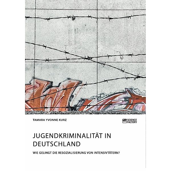 Jugendkriminalität in Deutschland. Wie gelingt die Resozialisierung von Intensivtätern?, Tamara Yvonne Kurz