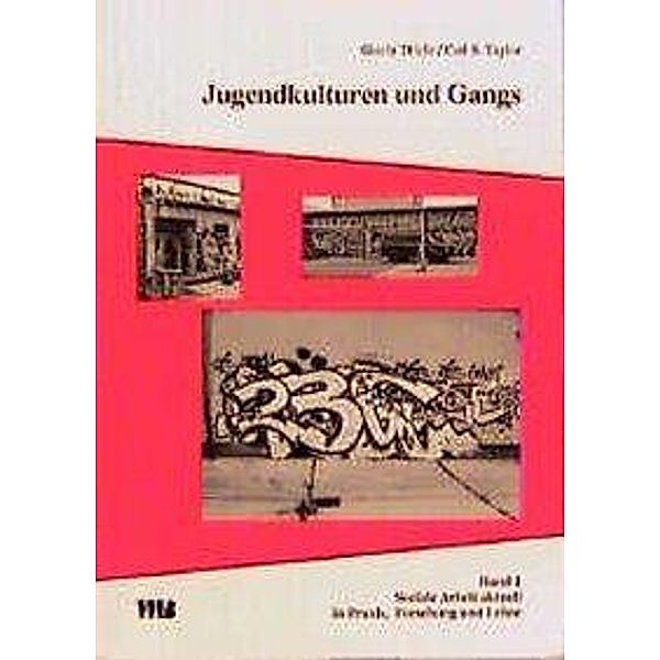 Jugendkulturen und Gangs, Gisela Thiele, Carl S. Taylor