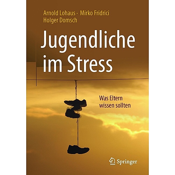 Jugendliche im Stress, Arnold Lohaus, Mirko Fridrici, Holger Domsch