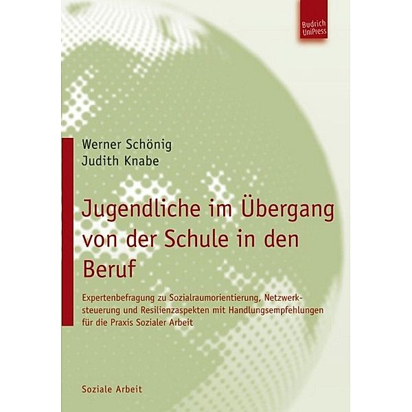 Jugendliche im Übergang von der Schule in den Beruf, Werner Schönig, Judith Knabe