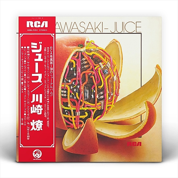 Juice (Vinyl), Ryo Kawasaki