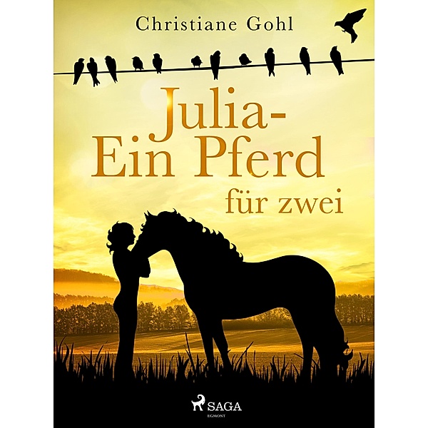 Julia - Ein Pferd für zwei / Julia Reihe Bd.12, Christiane Gohl