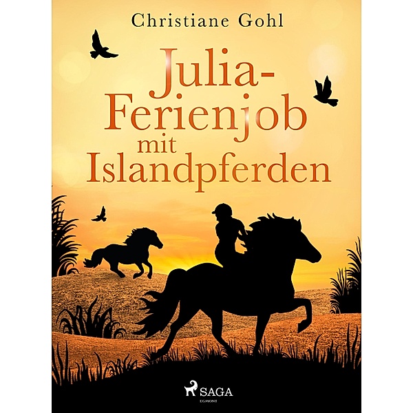 Julia - Ferienjob mit Islandpferden / Julia Reihe Bd.9, Christiane Gohl