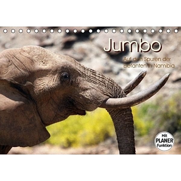 Jumbo - Auf den Spuren der Elefanten in Namibia (Tischkalender 2016 DIN A5 quer), Walter Imhof