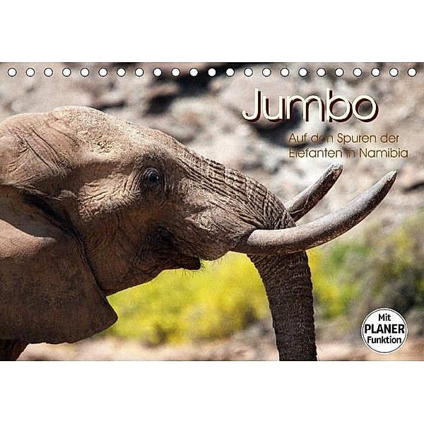 Jumbo - Auf den Spuren der Elefanten in Namibia (Tischkalender 2017 DIN A5 quer), Walter Imhof