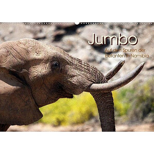 Jumbo  Auf den Spuren der Elefanten in Namibia (Wandkalender 2023 DIN A2 quer), Walter Imhof