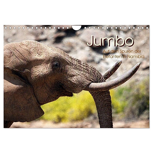 Jumbo Auf den Spuren der Elefanten in Namibia (Wandkalender 2024 DIN A4 quer), CALVENDO Monatskalender, Walter Imhof