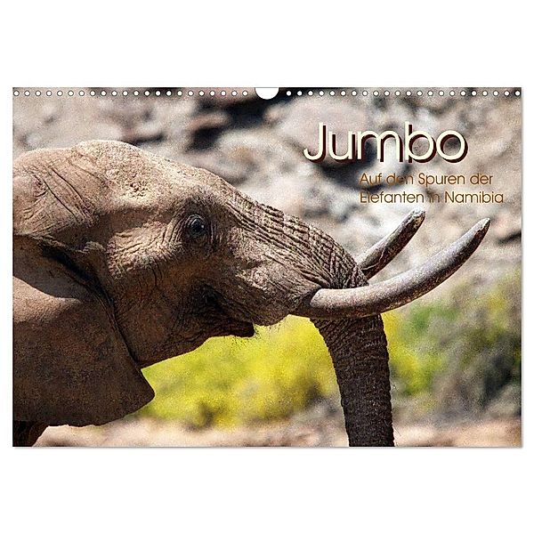 Jumbo Auf den Spuren der Elefanten in Namibia (Wandkalender 2024 DIN A3 quer), CALVENDO Monatskalender, Walter Imhof