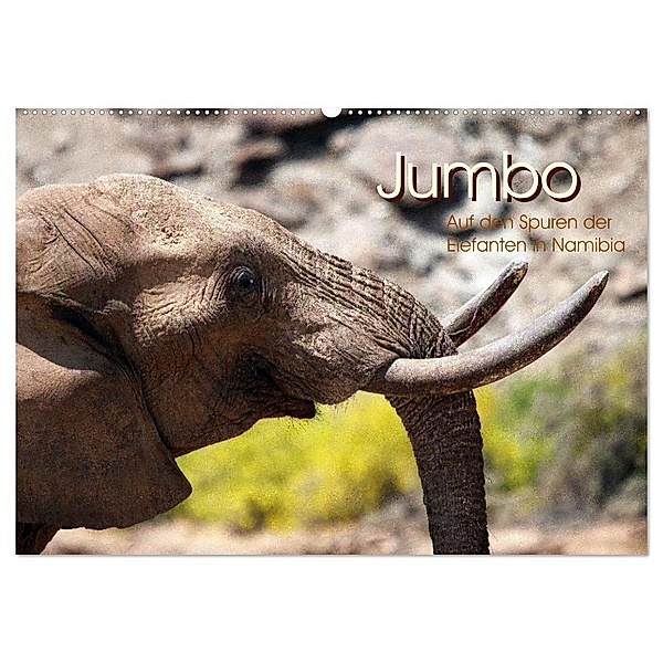 Jumbo Auf den Spuren der Elefanten in Namibia (Wandkalender 2024 DIN A2 quer), CALVENDO Monatskalender, Walter Imhof