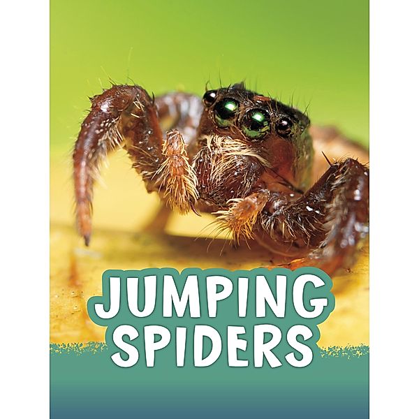 Jumping Spiders, Jaclyn Jaycox