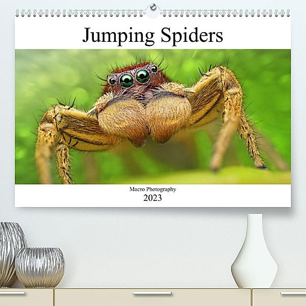 Jumping Spiders (Premium, hochwertiger DIN A2 Wandkalender 2023, Kunstdruck in Hochglanz), Alexander Mett Photography