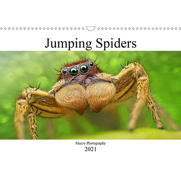 Jumping Spiders (Wall Calendar 2021 DIN A3 Landscape), Alexander Mett Photography