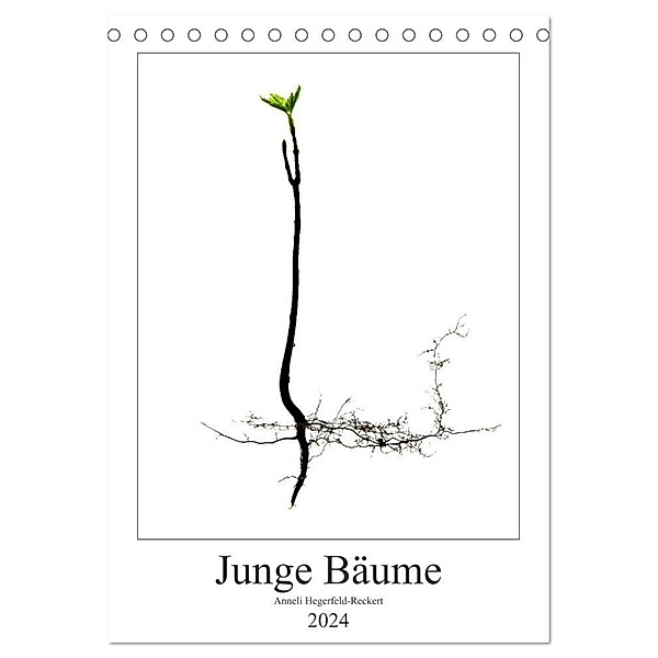 Junge Bäume (Tischkalender 2024 DIN A5 hoch), CALVENDO Monatskalender, Anneli Hegerfeld-Reckert