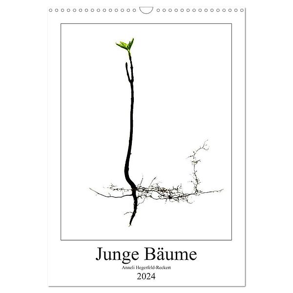 Junge Bäume (Wandkalender 2024 DIN A3 hoch), CALVENDO Monatskalender, Anneli Hegerfeld-Reckert