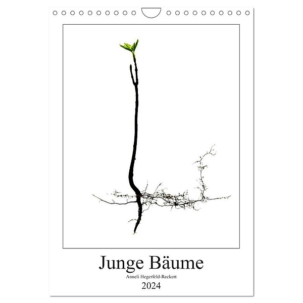 Junge Bäume (Wandkalender 2024 DIN A4 hoch), CALVENDO Monatskalender, Anneli Hegerfeld-Reckert