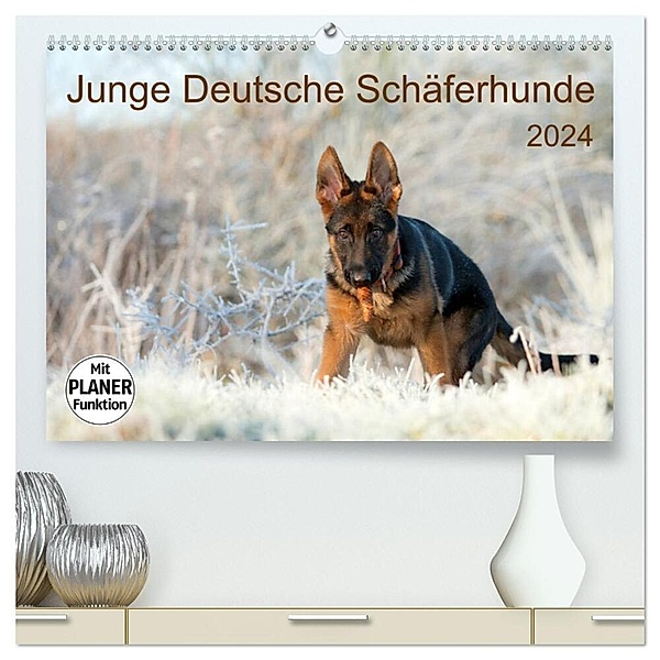 Junge Deutsche Schäferhunde (hochwertiger Premium Wandkalender 2024 DIN A2 quer), Kunstdruck in Hochglanz, Petra Schiller