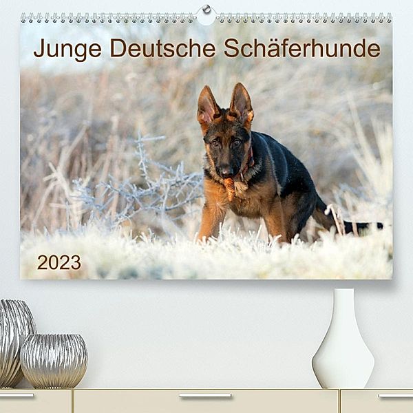 Junge Deutsche Schäferhunde (Premium, hochwertiger DIN A2 Wandkalender 2023, Kunstdruck in Hochglanz), Petra Schiller