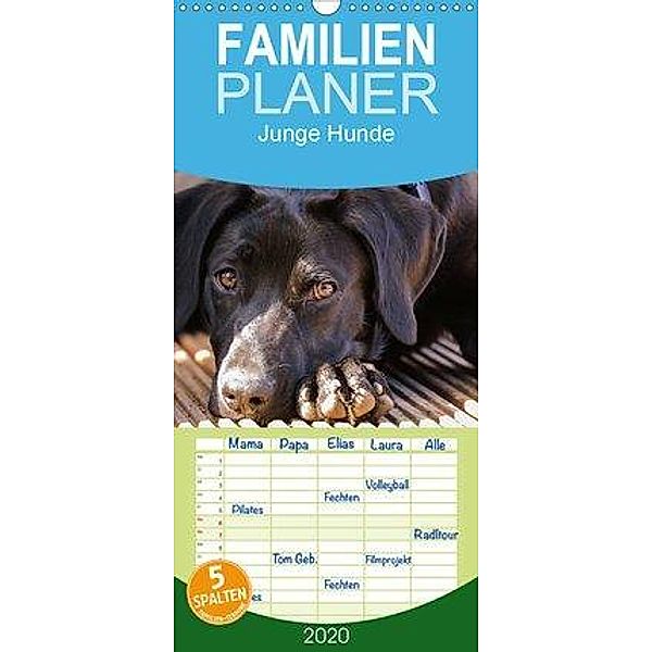 Junge Hunde / 2020 - Familienplaner hoch (Wandkalender 2020 , 21 cm x 45 cm, hoch), Carsten Jäger