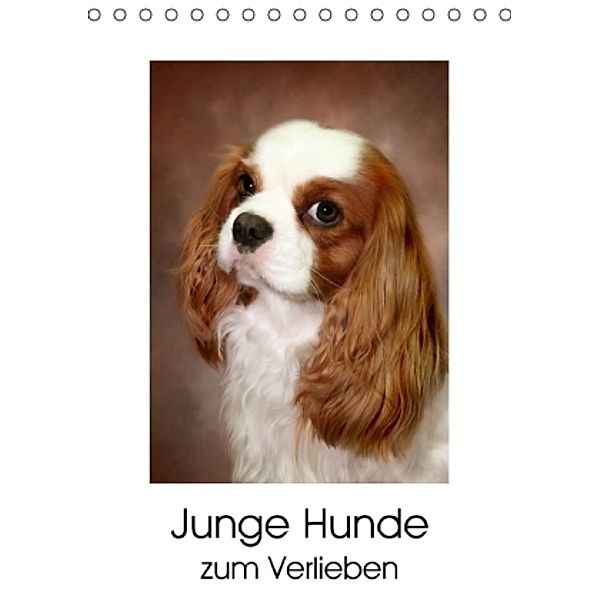 Junge Hunde zum Verlieben (Tischkalender 2016 DIN A5 hoch), Eduard Peter