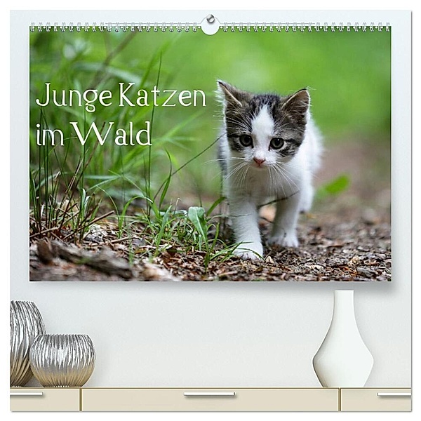 Junge Katzen im Wald (hochwertiger Premium Wandkalender 2024 DIN A2 quer), Kunstdruck in Hochglanz, Dorothea Oldani