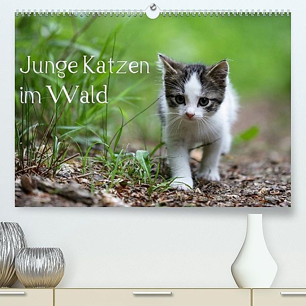 Junge Katzen im Wald (Premium, hochwertiger DIN A2 Wandkalender 2023, Kunstdruck in Hochglanz), Dorothea Oldani