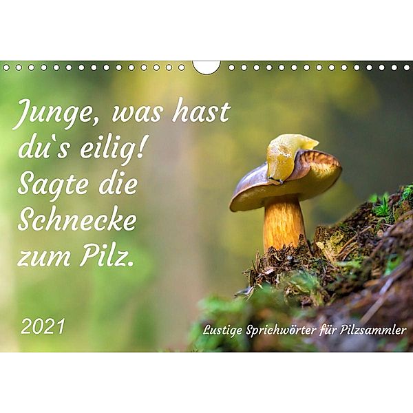 Junge, was hast du`s eilig (Wandkalender 2021 DIN A4 quer), Kerstin Waurick