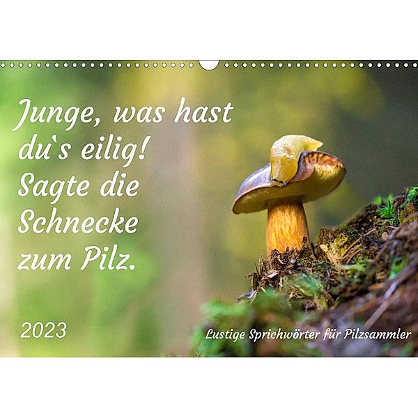 Junge, was hast du`s eilig (Wandkalender 2023 DIN A3 quer), Kerstin Waurick