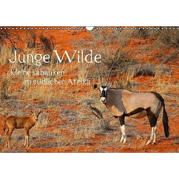 Junge Wilde - Kleine Rabauken im südlichen Afrika CH-Version (Wandkalender 2016 DIN A3 quer), Daniel Schneeberger