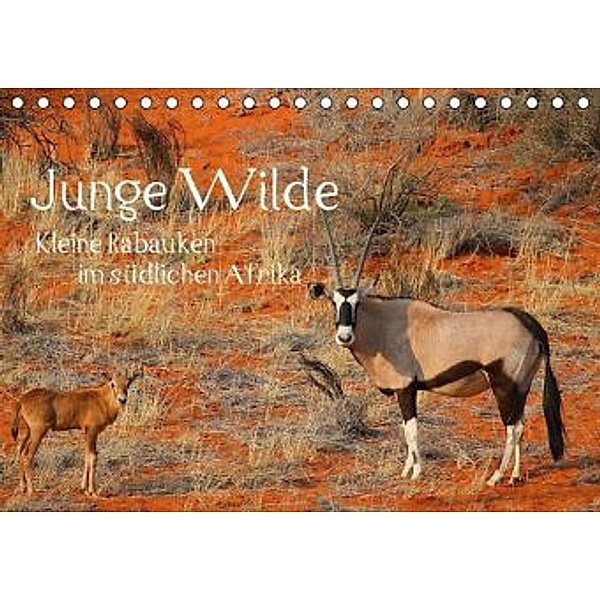 Junge Wilde - Kleine Rabauken im südlichen Afrika CH-Version (Tischkalender 2016 DIN A5 quer), Daniel Schneeberger
