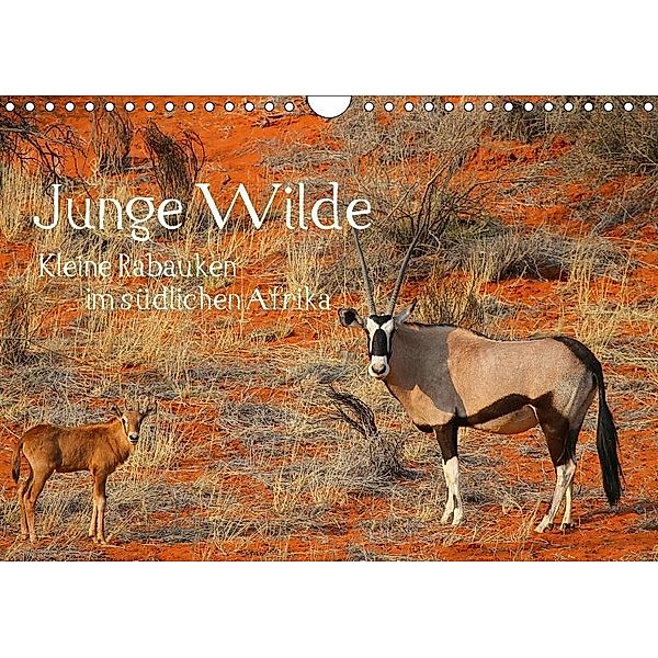Junge Wilde - Kleine Rabauken im südlichen AfrikaCH-Version (Wandkalender 2017 DIN A4 quer), Daniel Schneeberger