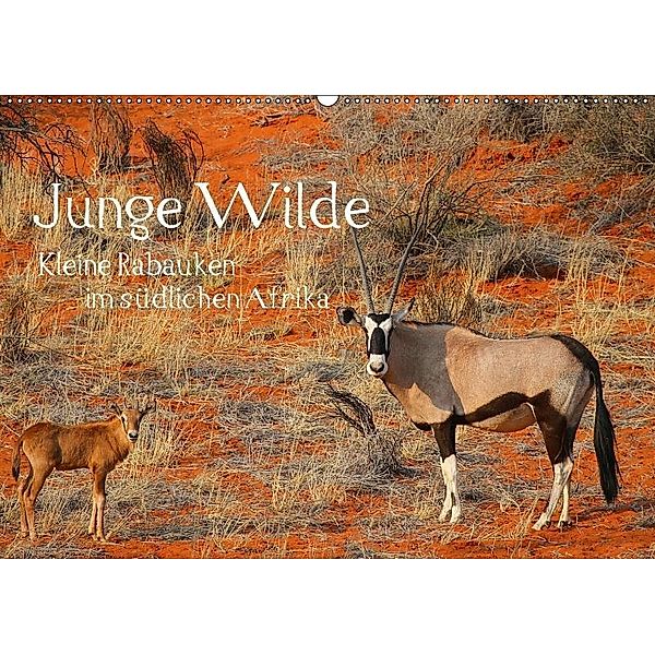 Junge Wilde - Kleine Rabauken im südlichen AfrikaCH-Version (Wandkalender 2017 DIN A2 quer), Daniel Schneeberger