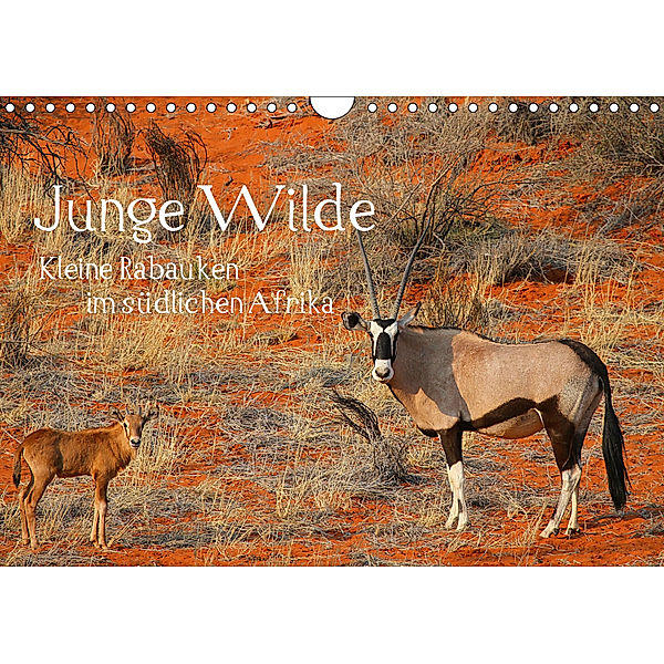 Junge Wilde - Kleine Rabauken im südlichen AfrikaCH-Version (Wandkalender 2019 DIN A4 quer), Daniel Schneeberger