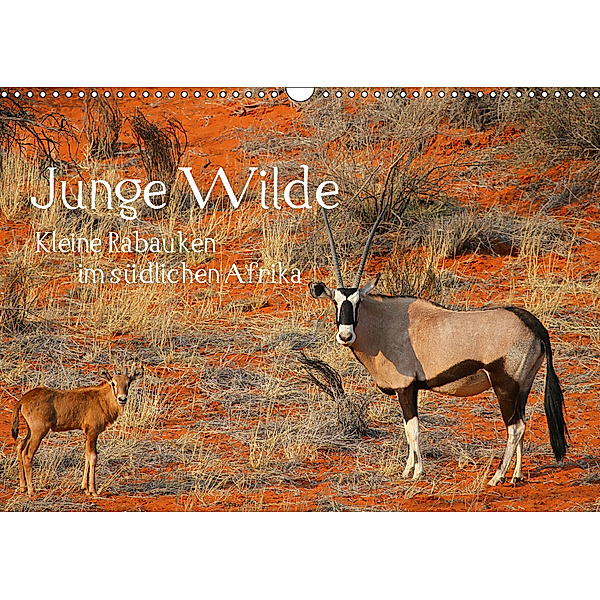 Junge Wilde - Kleine Rabauken im südlichen AfrikaCH-Version (Wandkalender 2019 DIN A3 quer), Daniel Schneeberger