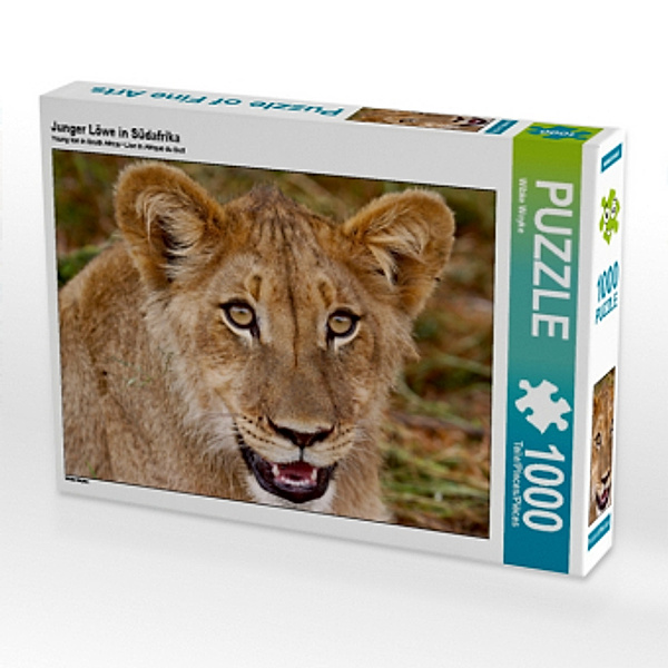 Junger Löwe in Südafrika (Puzzle), Wibke Woyke