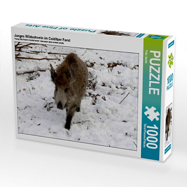 Junges Wildschwein im Colditzer Forst (Puzzle), Thilo Seidel