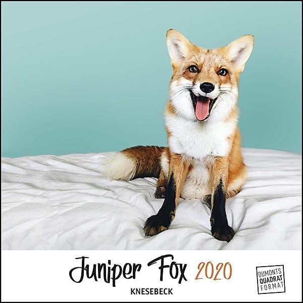 Juniper Fox 2020