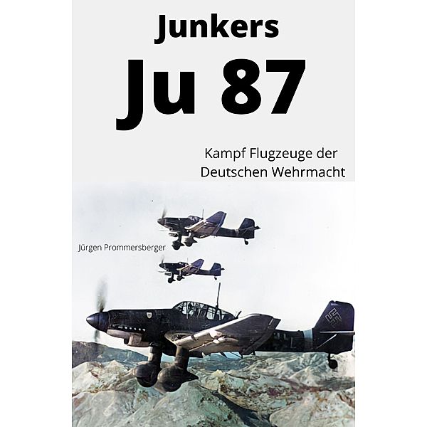 Junkers Ju 87, Jürgen Prommersberger