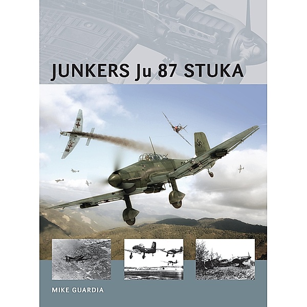 Junkers Ju 87 Stuka, Mike Guardia