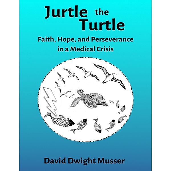 Jurtle The Turtle, David Musser