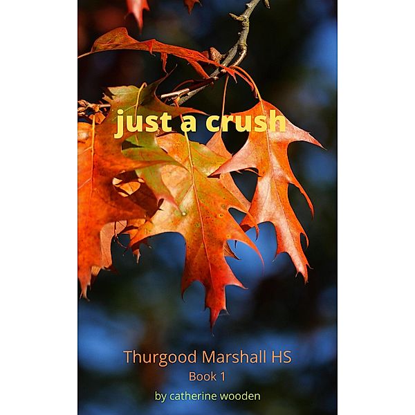 Just a Crush (Thurgood Marshall High School, #1) / Thurgood Marshall High School, Catherine Wooden